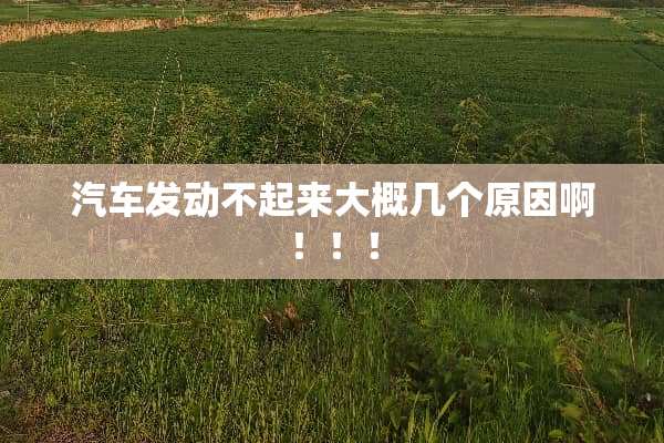 汽车发动不起来大概几个原因啊！！！