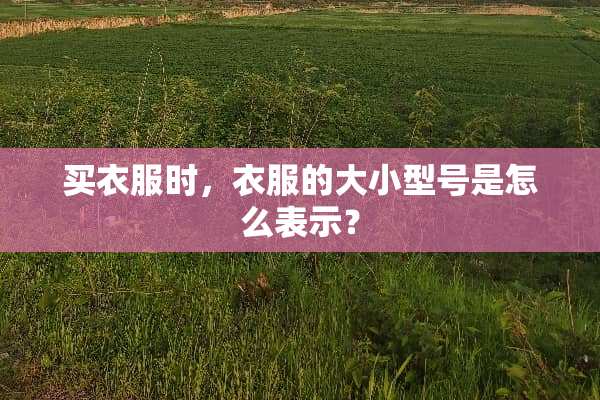 买衣服时，衣服的大小型号是怎么表示？
