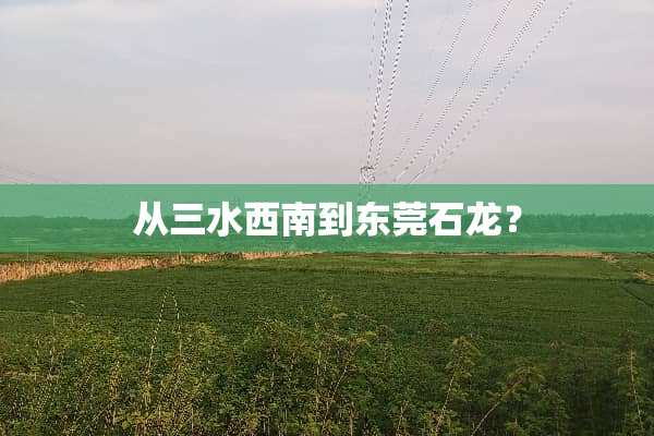 从三水西南到东莞石龙？