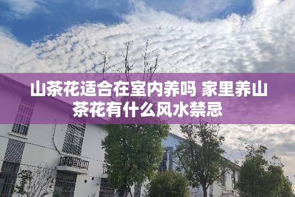 山茶花适合在室内养吗 家里养山茶花有什么风水禁忌