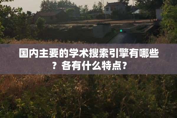 国内主要的学术搜索引擎有哪些？各有什么特点？