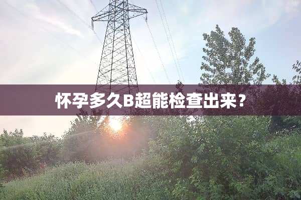 怀孕多久B超能检查出来？
