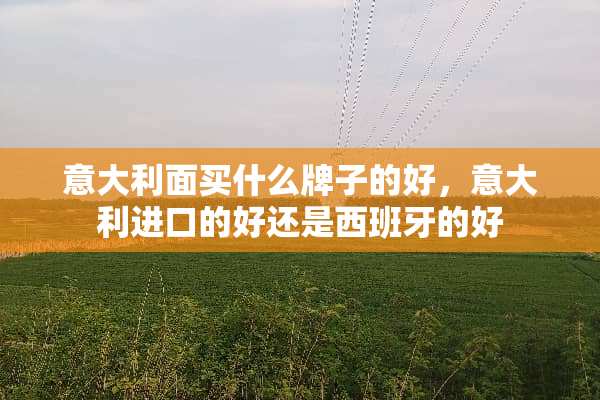 意大利面买什么牌子的好，意大利进口的好还是西班牙的好