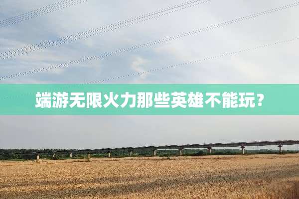 端游无限火力那些英雄不能玩？