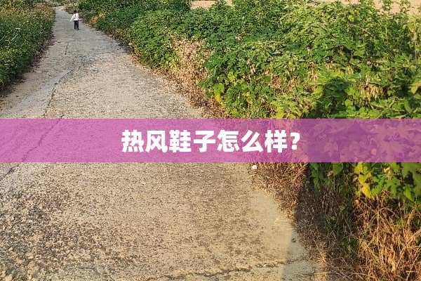 热风鞋子怎么样？