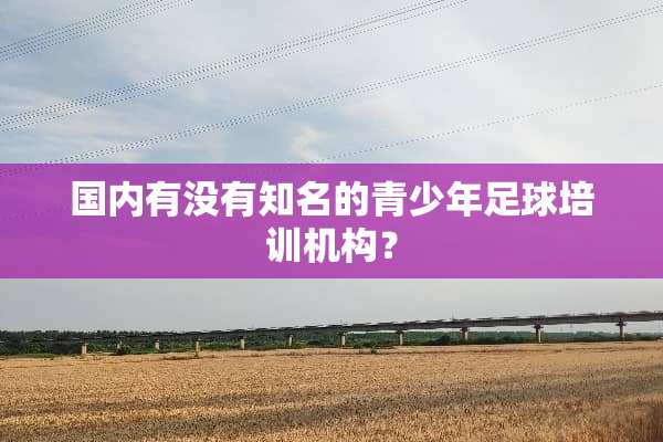 国内有没有知名的青少年**培训机构？