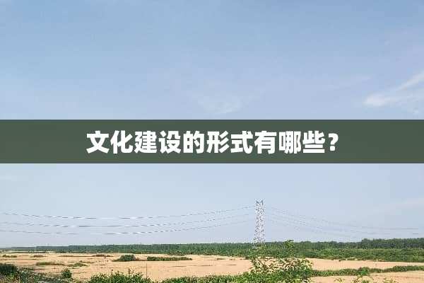 文化建设的形式有哪些？