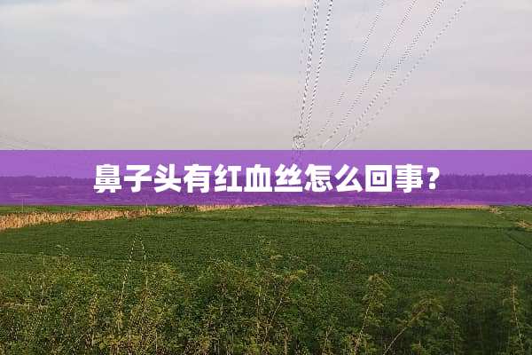 鼻子头有***怎么回事？