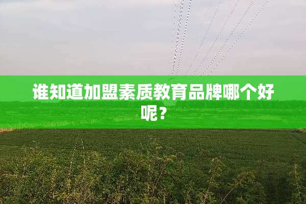 谁知道加盟素质教育品牌哪个好呢？