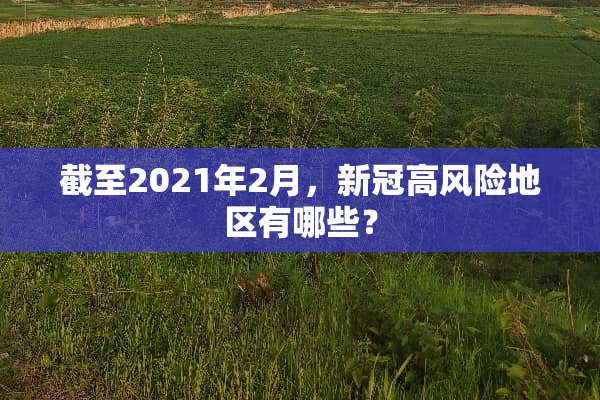 截至2021年2月，新冠高风险地区有哪些？