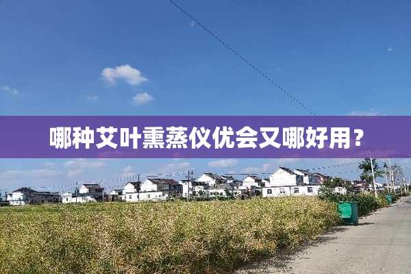 哪种艾叶熏蒸仪优会又哪好用？