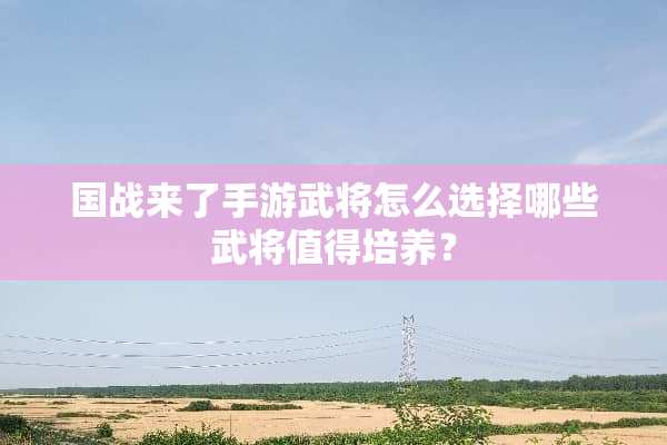 国战来了手游武将怎么选择哪些武将值得培养？