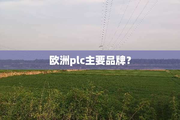 欧洲plc主要品牌？
