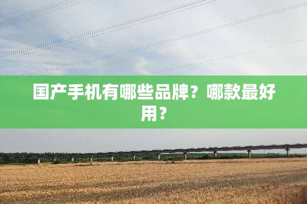 国产手机有哪些品牌？哪款最好用？