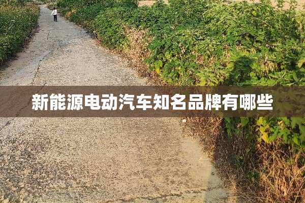 新能源电动汽车知名品牌有哪些
