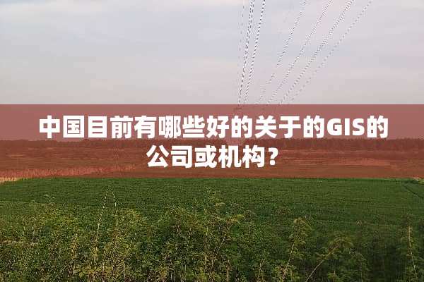 中国目前有哪些好的关于的GIS的公司或机构？