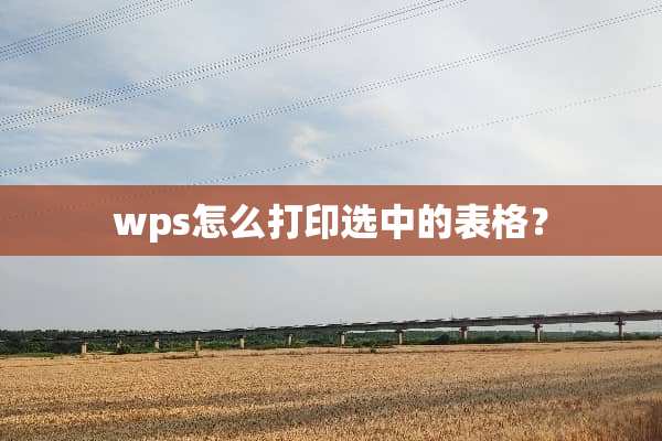 wps怎么打印选中的表格？