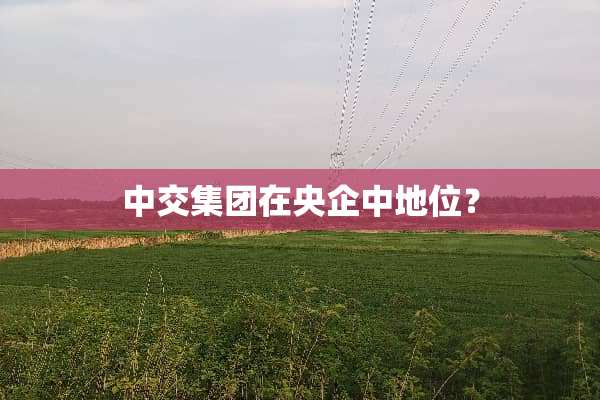 中交集团在央企中地位？