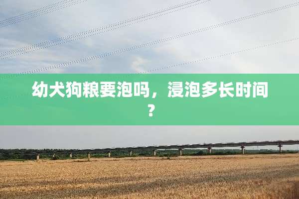幼犬狗粮要泡吗，浸泡多长时间？