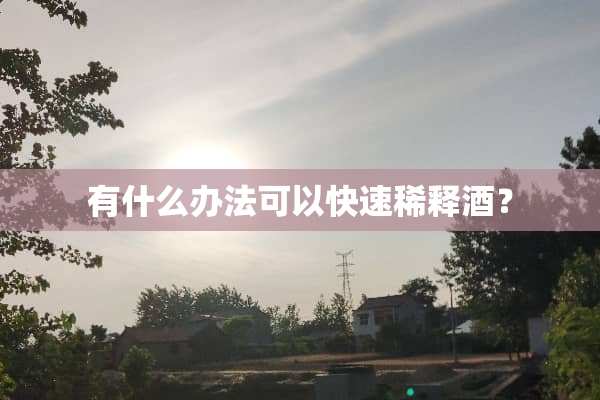 有什么办法可以快速稀释酒？