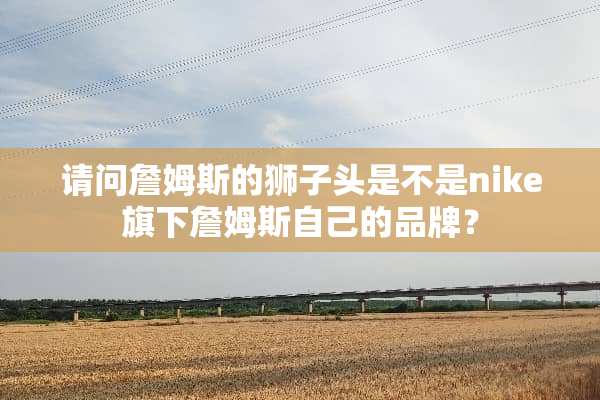 请问詹姆斯的狮子头是不是nike旗下詹姆斯自己的品牌？