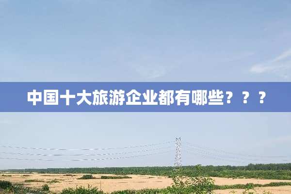 中国十大旅游企业都有哪些？？？