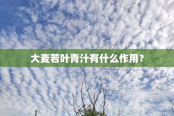 大麦若叶青汁有什么作用？