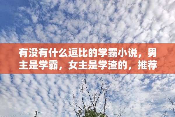 有没有什么逗比的学霸小说，男主是学霸，女主是学渣的，推荐一下？