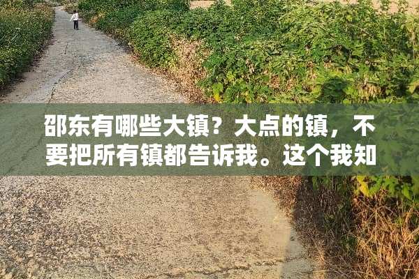 邵东有哪些大镇？大点的镇，不要把所有镇都告诉我。这个我知道