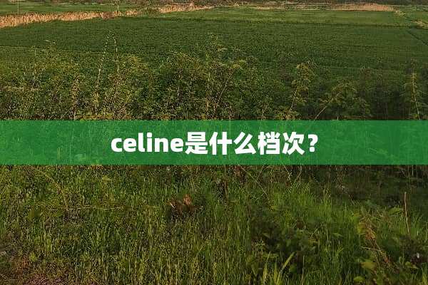 celine是什么档次？