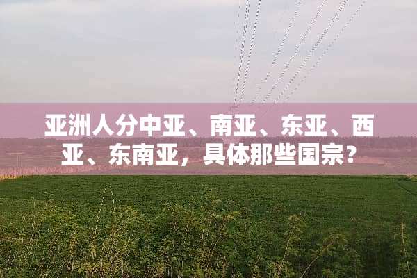 亚洲人分中亚、南亚、东亚、西亚、东南亚，具体那些国宗？