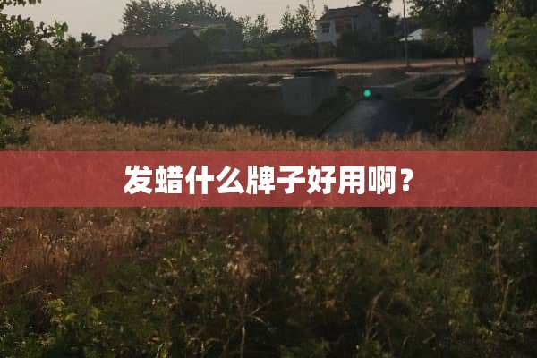 发蜡什么牌子好用啊？