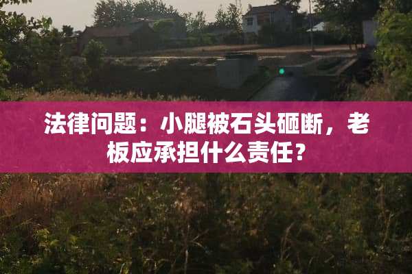 法律问题：小腿被石头砸断，老板应承担什么责任？