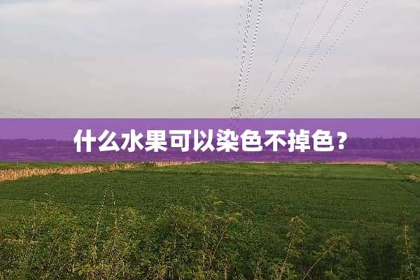 什么水果可以染色不掉色？