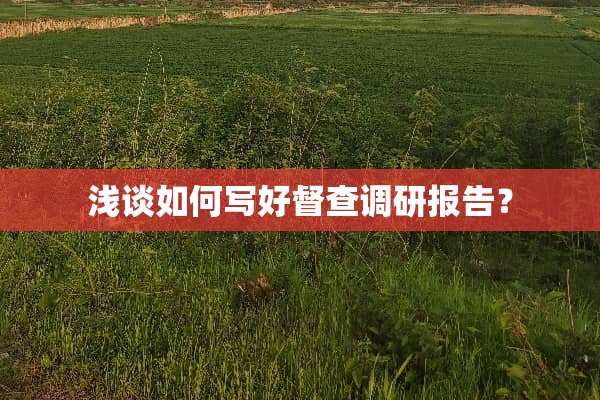 浅谈如何写好督查调研报告？