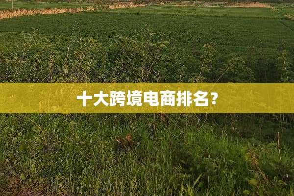 十大跨境电商排名？