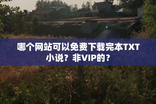 哪个网站可以免费下载完本TXT小说？非VIP的？