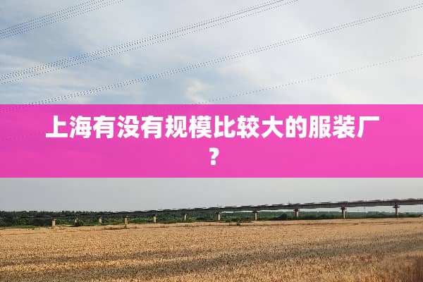 上海有没有规模比较大的服装厂？