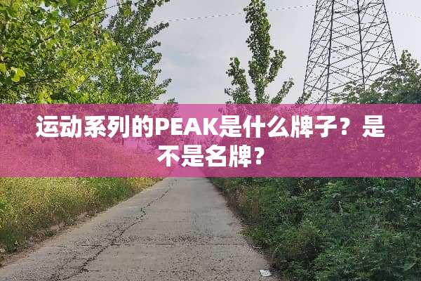 运动系列的PEAK是什么牌子？是不是名牌？