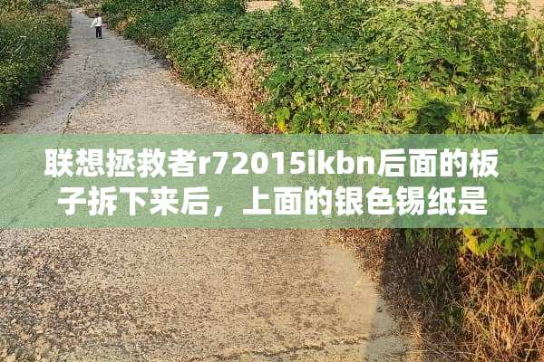 联想拯救者r72015ikbn后面的板子拆下来后，上面的银色锡纸是干什么用的？