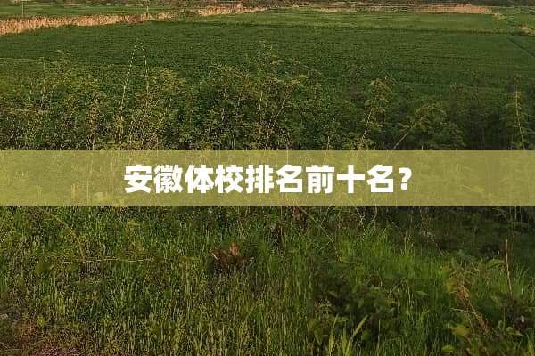 安徽体校排名前十名？