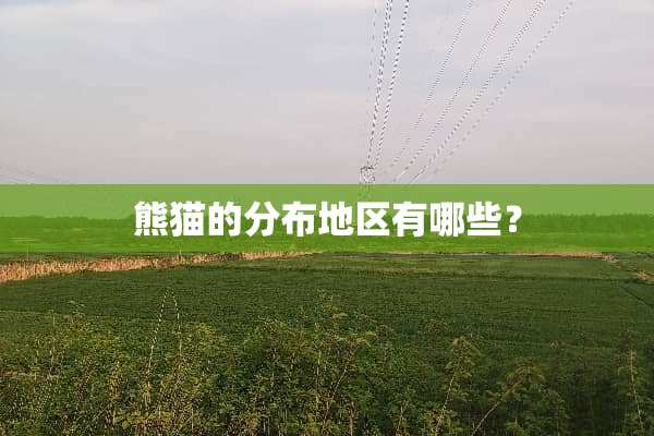 熊猫的分布地区有哪些？