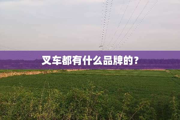 叉车都有什么品牌的？