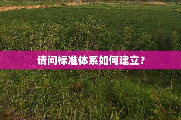 请问标准体系如何建立？