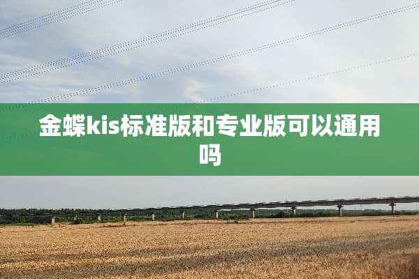 金蝶kis标准版和专业版可以通用吗