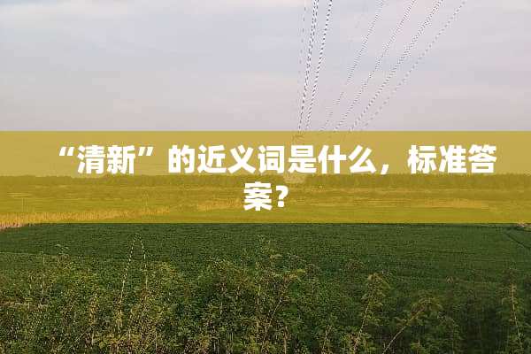 “清新”的近义词是什么，标准答案？