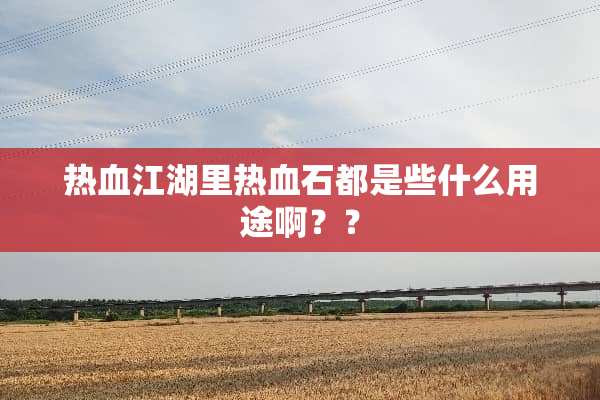 热血江湖里热血石都是些什么用途啊？？