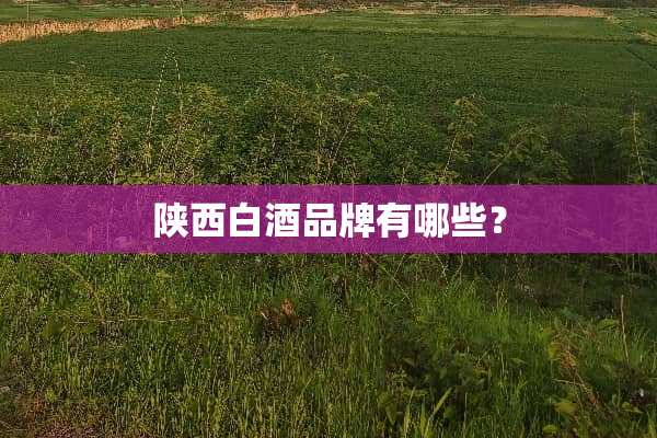 陕西白酒品牌有哪些？