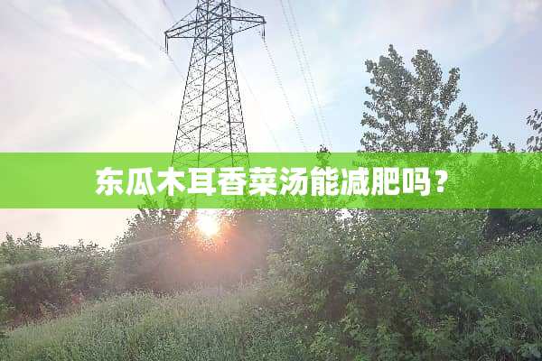 东瓜木耳香菜汤能减肥吗？
