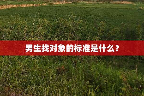 男生找对象的标准是什么？